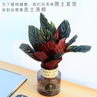 Красный Линоако