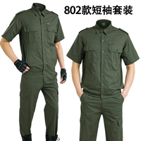 Зеленый, короткий рукав