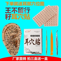 Акупунктура для ушей король король не оставляет уши, акупунтная наклейка на стикера наклейка ушной наклейка уш