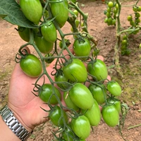 Королевский синий