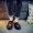Old Bắc Kinh giày mùa xuân và mùa hè giày đơn xã hội giày giày thêu thấp phong cách Trung Quốc giày vải giày của nam giới peas giày giày nam cổ lửng