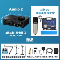 Audio2+ C01 Полный набор подарков