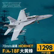 FMS đường ống 70mm mới F A-18F hornet điện RC máy bay điều khiển từ xa - Mô hình máy bay / Xe & mô hình tàu / Người lính mô hình / Drone