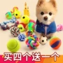 Pet vocal dog toy mol cắn đồ chơi bóng đào tạo Teddy kitten puppy dog ​​nhai vật nuôi - Mèo / Chó Đồ chơi đồ chơi cho mèo tự chơi