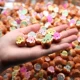 100 птенцов световой раковины 100 цыплят