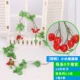 Вишневая вишня Gooto (5 Fit)