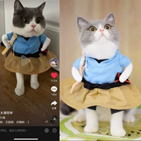 Хорошо, Дуйин, та же одежда, Нага Таро, Кошачье смешное платье, странная одежда для кошек, кошки, встали