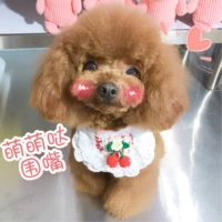 Милый нагрудник, кружевной слюнявчик, «сделай сам»