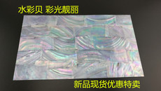 Морская раковина 白色贝壳螺钿片 现货贝壳纸薄片 家具乐器漆器雕刻镶嵌材料