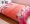 Pha lê nhung trải giường chăn được làm dày để giữ ấm một mảnh san hô lông cừu flannel chăn bọ cạp bề mặt AB - Trải giường