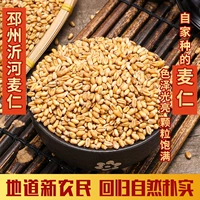 Новая пшеничная пшеничная трава трава фермеры -самим, проводящие мальтоза, шлифовающие лапши семена саженцы, травяная пшеничная соус 250 г