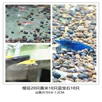 Смотреть пакет креветок 5