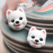 CANDLE.LAB | Chó JunSu DIY Hương liệu thạch cao Hương thơm Nến thơm mở rộng Khuôn silicon Handmade 16