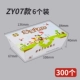 ZY07 6 установлен 300
