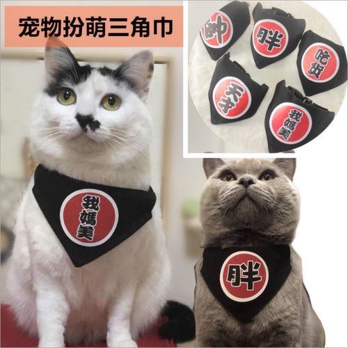 Комплект, слюнявчик, шарф, шарф-платок, подходит для подростков