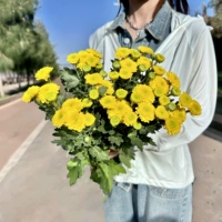 Ретро -упаковка 10 Ruihuang Частые свежие страхование Чжунтонга холодная цепь