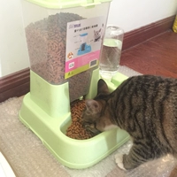 Кошка автоматическое кормление кормление кошка поставляет собаку питьевой водонагреватель кошка чаша для собак двойная чаша двойная чаша питательная вода для собак принадлежности