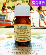 Sản xuất tháng 2 của Ai Cập Nefertari Frangipani frangipani tinh dầu đơn phương sáng trắng chống lão hóa mềm mại ấm áp - Tinh dầu điều trị