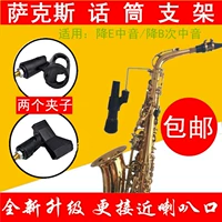 Kết nối kệ bên phụ kiện saxophone phụ kiện nhạc cụ loa không dây loa di động hiệu suất nhạc sĩ hiệu suất - Nhạc cụ MIDI / Nhạc kỹ thuật số đầu đĩa dvd mini