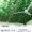 Mô phỏng cây nho lá hoa giả mây nho lá xanh lá cây dây leo bọc nhựa cây xanh trang trí trần - Hoa nhân tạo / Cây / Trái cây