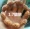 Vòng tay ô liu hạt giống nam lớn may mắn hạt nhân ô liu lớn ô liu handmade chạm khắc vòng đeo tay wenwan - Vòng đeo tay Clasp