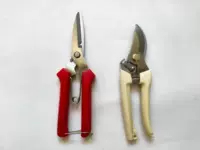 Красный, бежевый