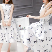 2019 ga châu Âu mùa hè mới của phụ nữ phiên bản Hàn Quốc in trong đoạn váy dài không tay thắt eo là váy chữ A mỏng - A-Line Váy