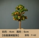 Y-62 (симуляционное плодовое дерево)