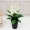 Hoa giả mô phỏng may mắn đầu phòng khách sàn mô phỏng nhà máy chậu trang trí nhựa cảnh vật trang trí tốt lành anthurium - Hoa nhân tạo / Cây / Trái cây
