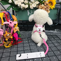 [Тип] Кени Кролик