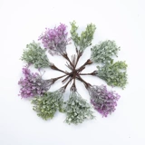 DIY MORI SIMUTION Accessory Accessories White Frost Green Leaf Pine Mori Senmatic Flower Cring Материал подарочный коробка украшение