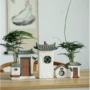 Sáng tạo đơn giản gốm Zen Trung Quốc hoa bình hoa hoa khô phòng khách tre cổ trang trí chậu - Vase / Bồn hoa & Kệ lọ thủy tinh cắm hoa