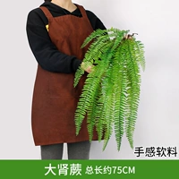 Золотой большой папоротник