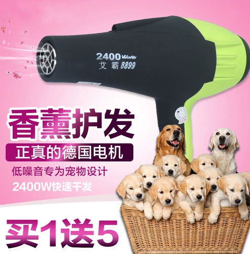 AIBA PET Special Hair Driceer Dogs с феном высокой мощности 2400 Вт Ультра -мунированная ароматная доставка ветра Бесплатная доставка
