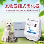 Pet nguyên tử nebulizer chó lạnh chó nguyên tử mèo lạnh mèo nguyên tử mèo mũi chó viêm phổi kennel ho - Cat / Dog Medical Supplies
