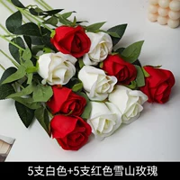 5 белых + 5 красных снежных горных роз