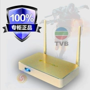 HD IPTV1080P trình phát mạng kỹ thuật số Hộp truyền hình kỹ thuật số WiFi set-top box