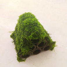 Ландшафтное украшение для аквариума 虾屋虾窝虾罐鱼缸造景陶罐躲避洞鱼躲避屋产卵洞鲷罐异型鱼繁殖罐