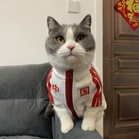 Китайский белый