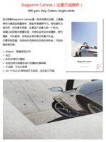 Hanemireda Gagar Oil Canvas 400 грамм