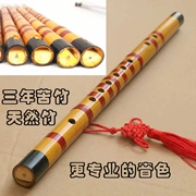 Nhạc cụ truyền thống sáo trúc học sinh sáo trúc clarinet người lớn mới bắt đầu trẻ em tự học cá hồng nước tre thẳng đứng Xiao - Nhạc cụ dân tộc