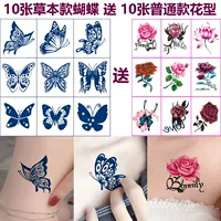 10 бабочек-сцены обычные цветы [10 фотографий]