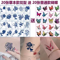 20 цветов на полке 20 бабочек путунга