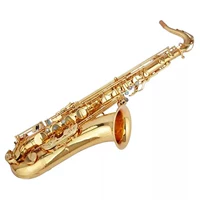 Cao cấp Salma B-phẳng tenor saxophone ống nhạc cụ mờ mờ xanh cổ - Nhạc cụ phương Tây đàn guitar rosen g11