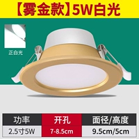 FOG Gold 5W Белый свет