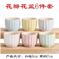 6 -piece набор лепестков и цветочных горшков