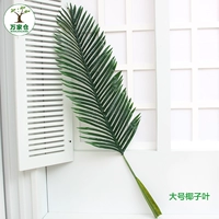 Кокосовой лист большой темно -зеленый