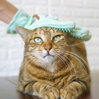 Đêm giữa hè gloves găng tay mèo 撸 lông mèo chải mèo lông chải lông thú cưng lông mèo chải lông chó chải - Cat / Dog Beauty & Cleaning Supplies lược inox chải lông chó