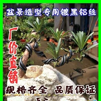 Hình dạng cây cảnh dây đồng dây nhôm dây cung cấp làm vườn nhỏ hình dạng trang trí cây cảnh trang trí phụ kiện dây thiết bị dây - Nguồn cung cấp vườn vòi tăng áp tưới cây