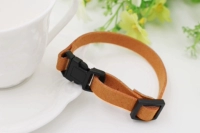 Апельсиновый апельсин